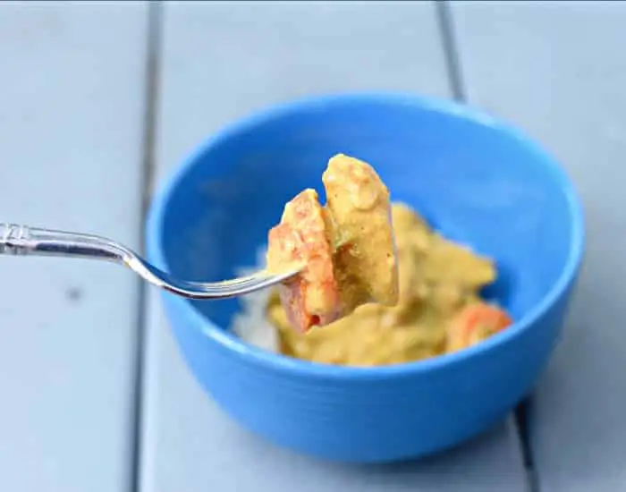 Instant Pot Chicken Curry Recipe