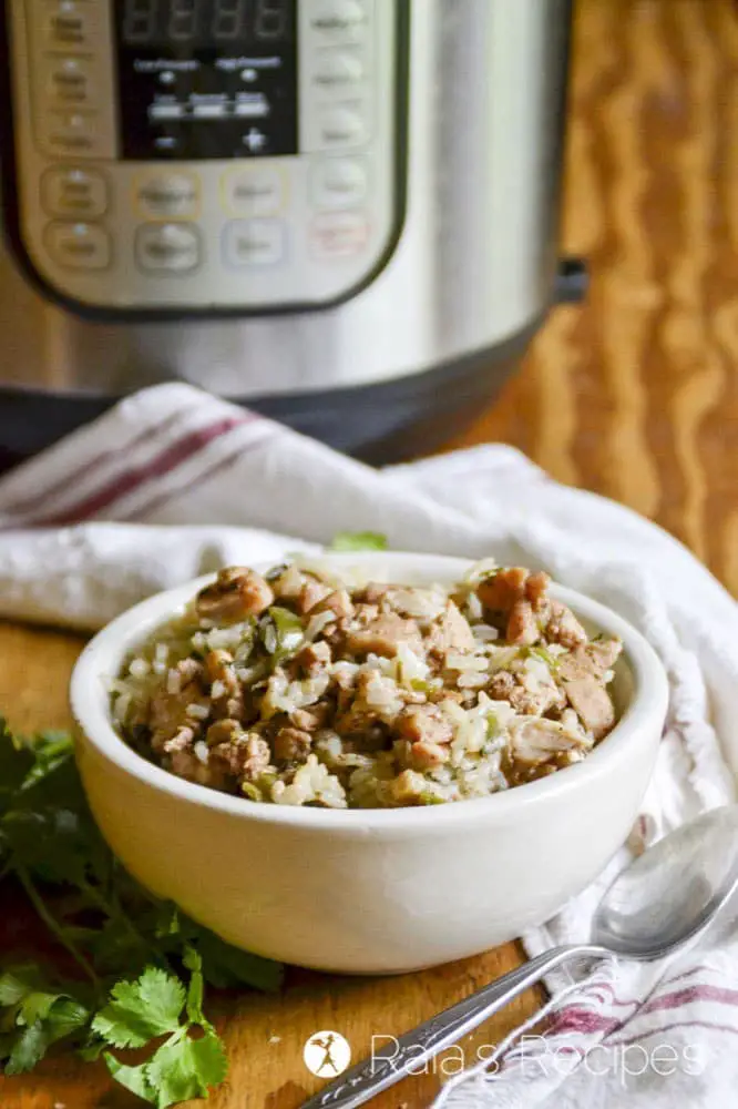 Easy Chicken Biryani in the Instant Pot Recipe