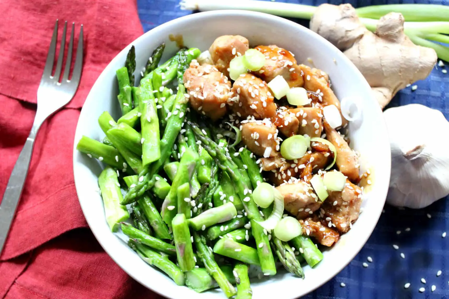 SOY-FREE TERIYAKI CHICKEN Recipe