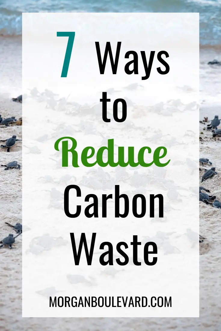 Ways to reduce carbon waste