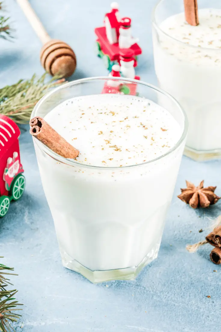 Dairy Free Holiday Nog Recipe
