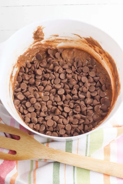 Double Chocolate Muffins