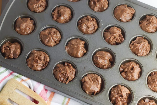 Double Chocolate Muffins