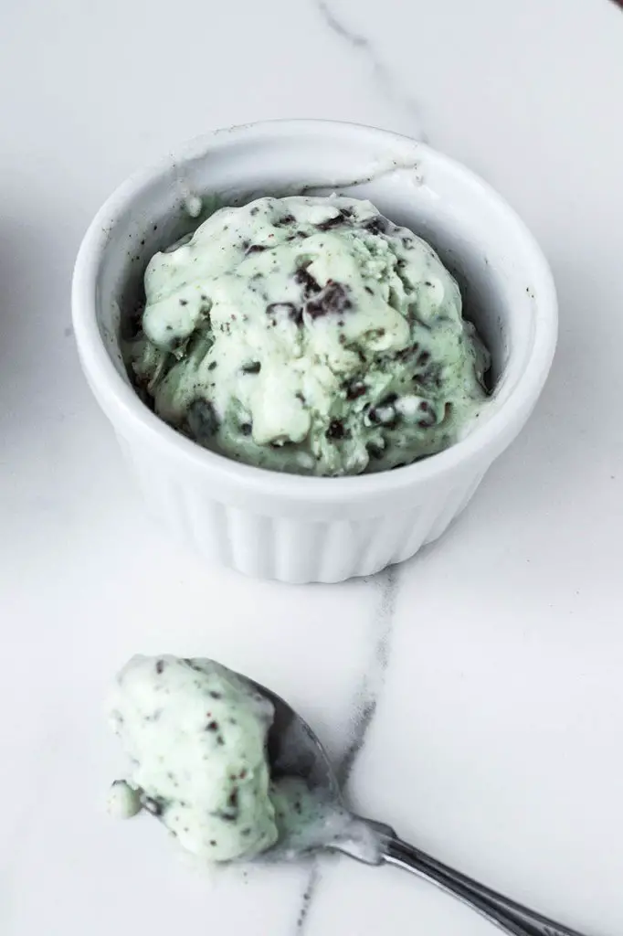vegan mint chocolate chip ice cream