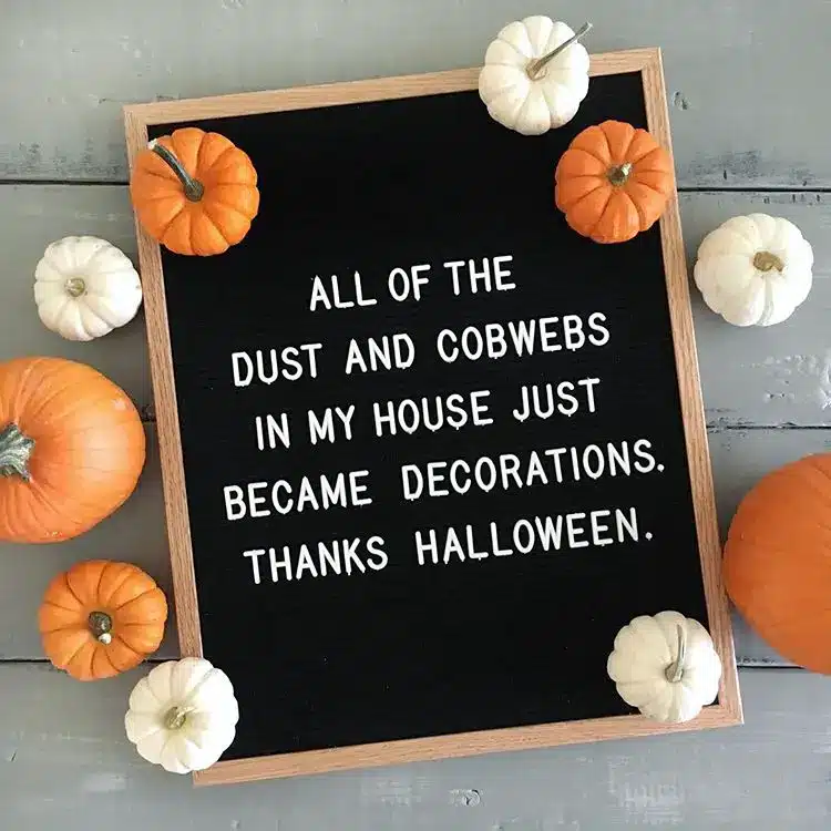 Letter board that says "all of the dust and cobwebs in my house just became decorations. thanks halloween."
