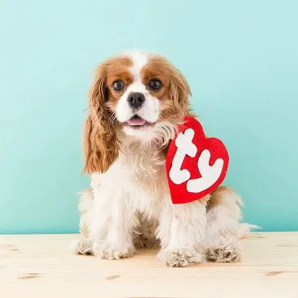 Beanie Baby dog costume