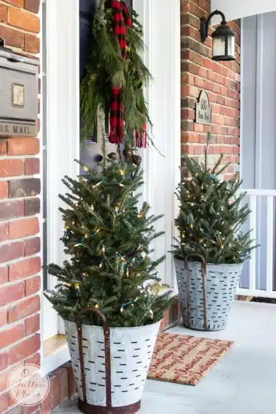 Christmas Tree Porch