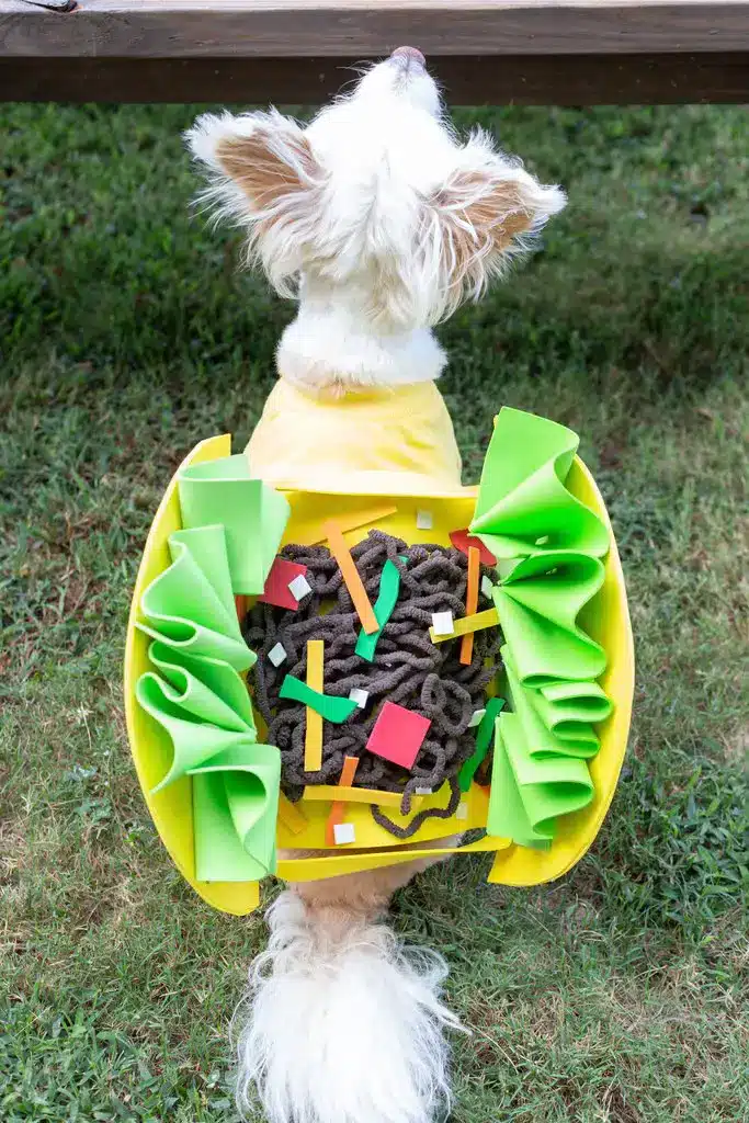 taco dog costume