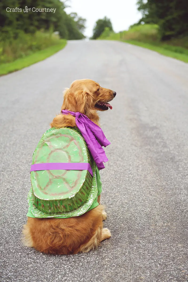 Teenage Mutant Ninja Turtle dog costume