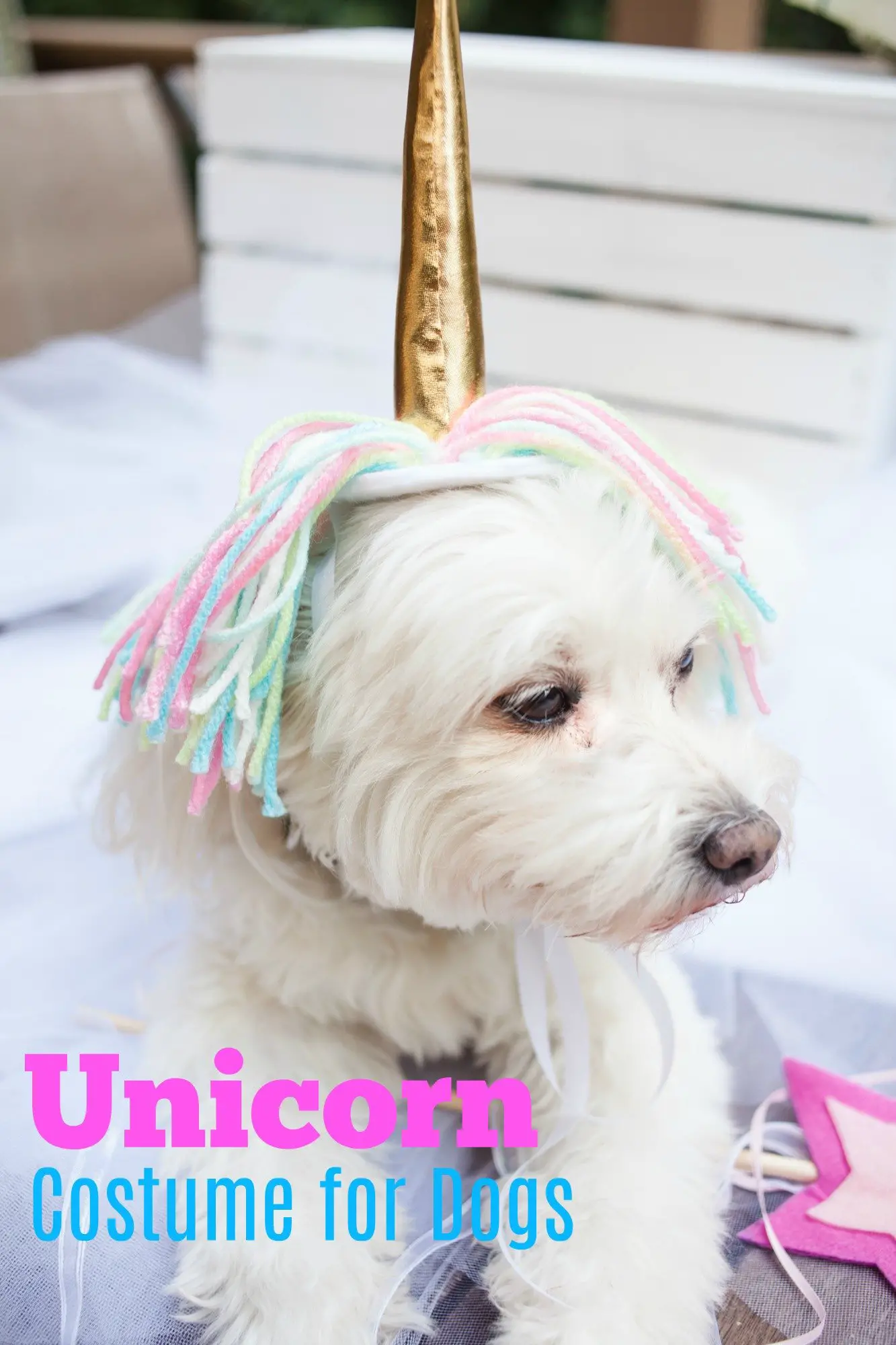 Unicorn dog costume