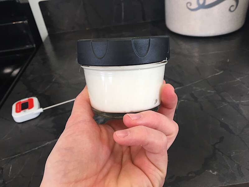 yogurt starter