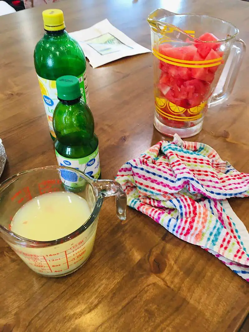 Ingredients for Watermelon Limonade