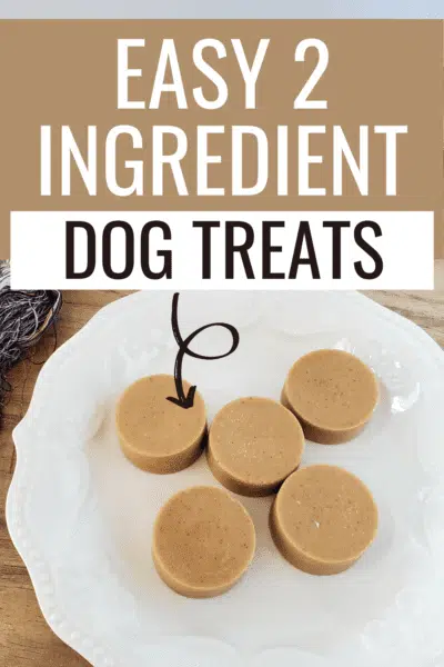 peanut butter dog treat