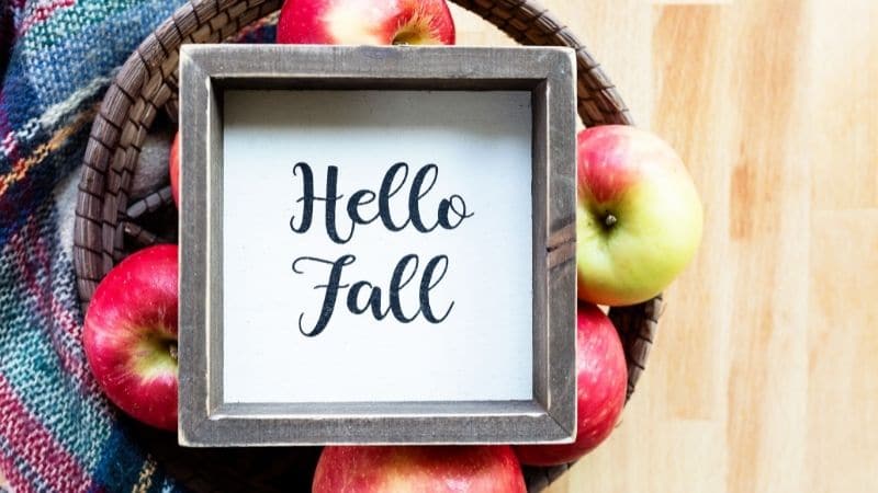 Epic Fall Bucket List Ideas for Your Family