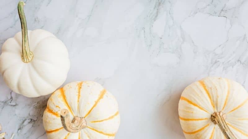 8 Simple, Minimalist Thanksgiving Decor Ideas