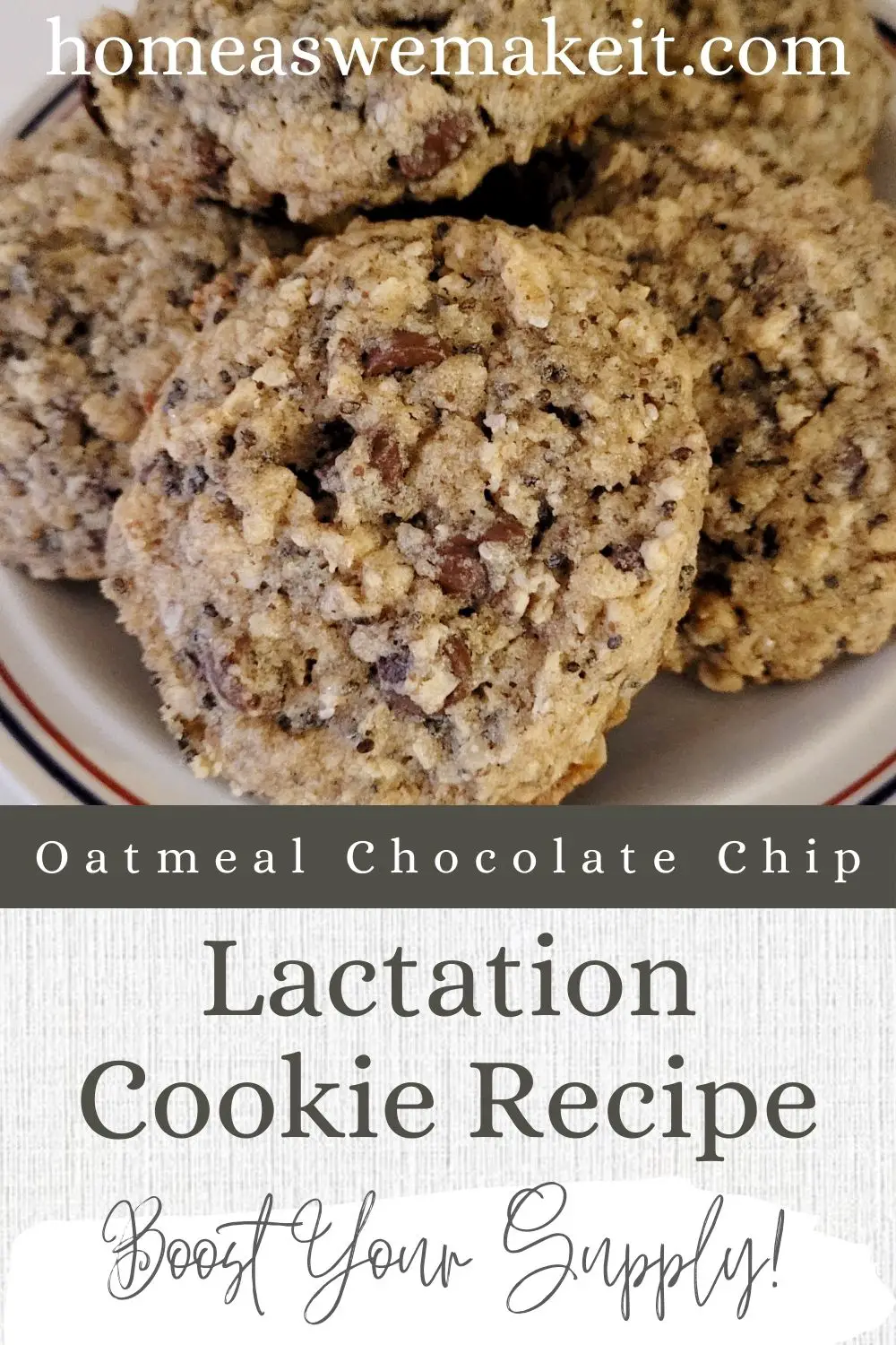 The Easiest Oatmeal Chocolate Chip Lactation Cookies