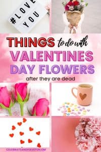 multiple valentine's day flower images