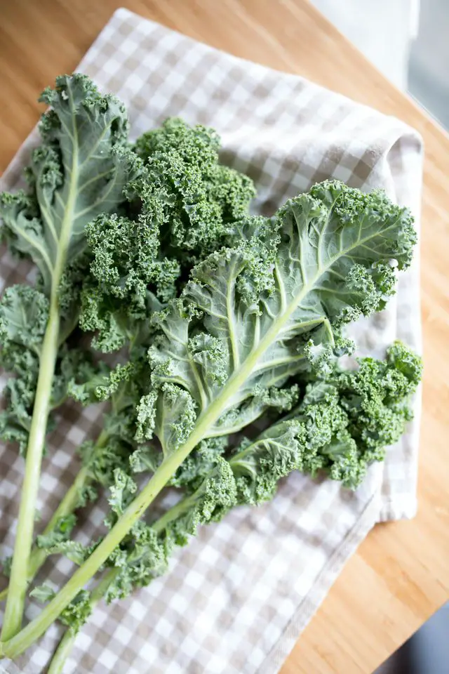 Kale leaves on table