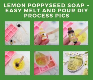 poppyseed melt and pour soap