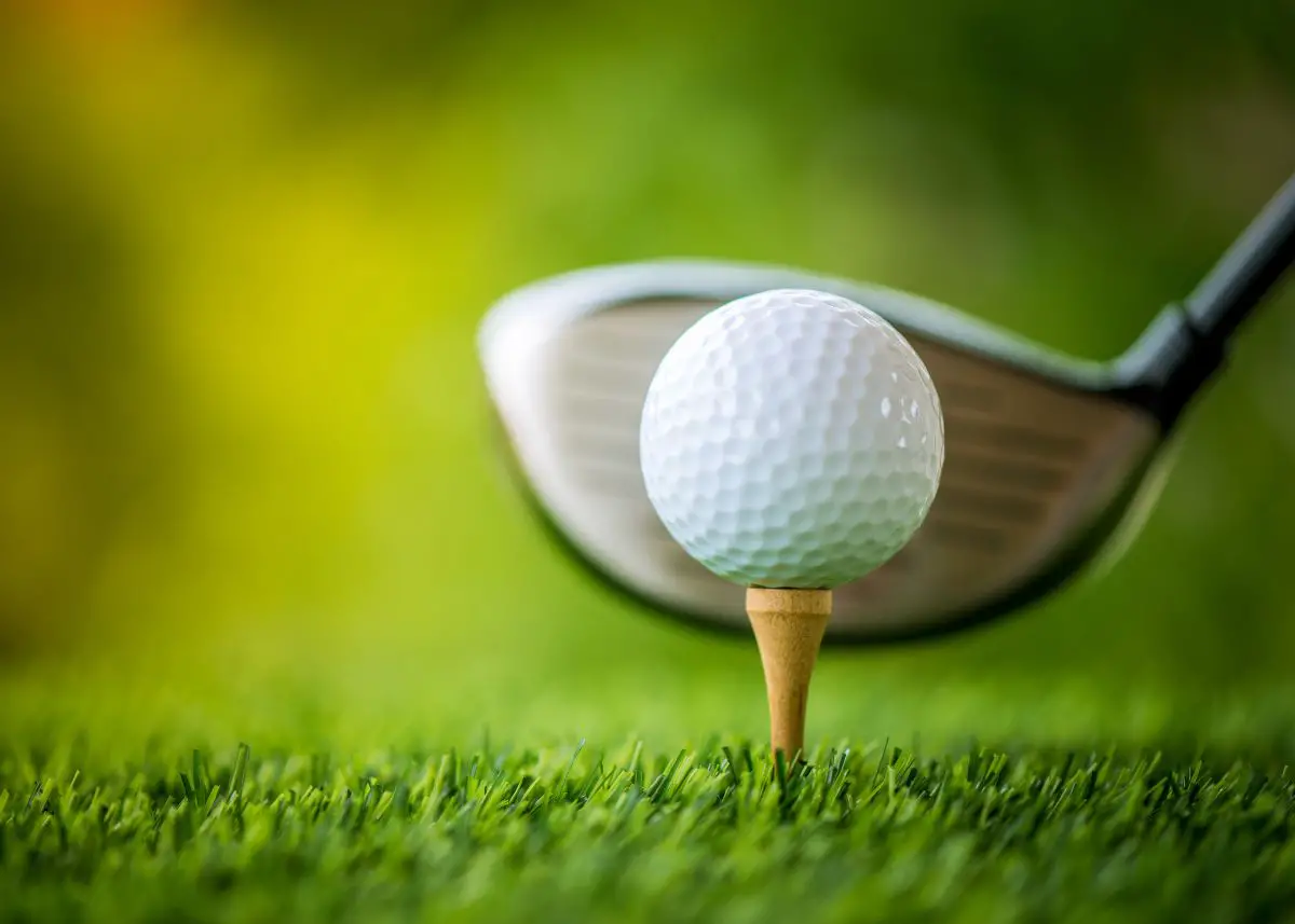 A closerup of a white ball on a wooden tee about to be hit.  