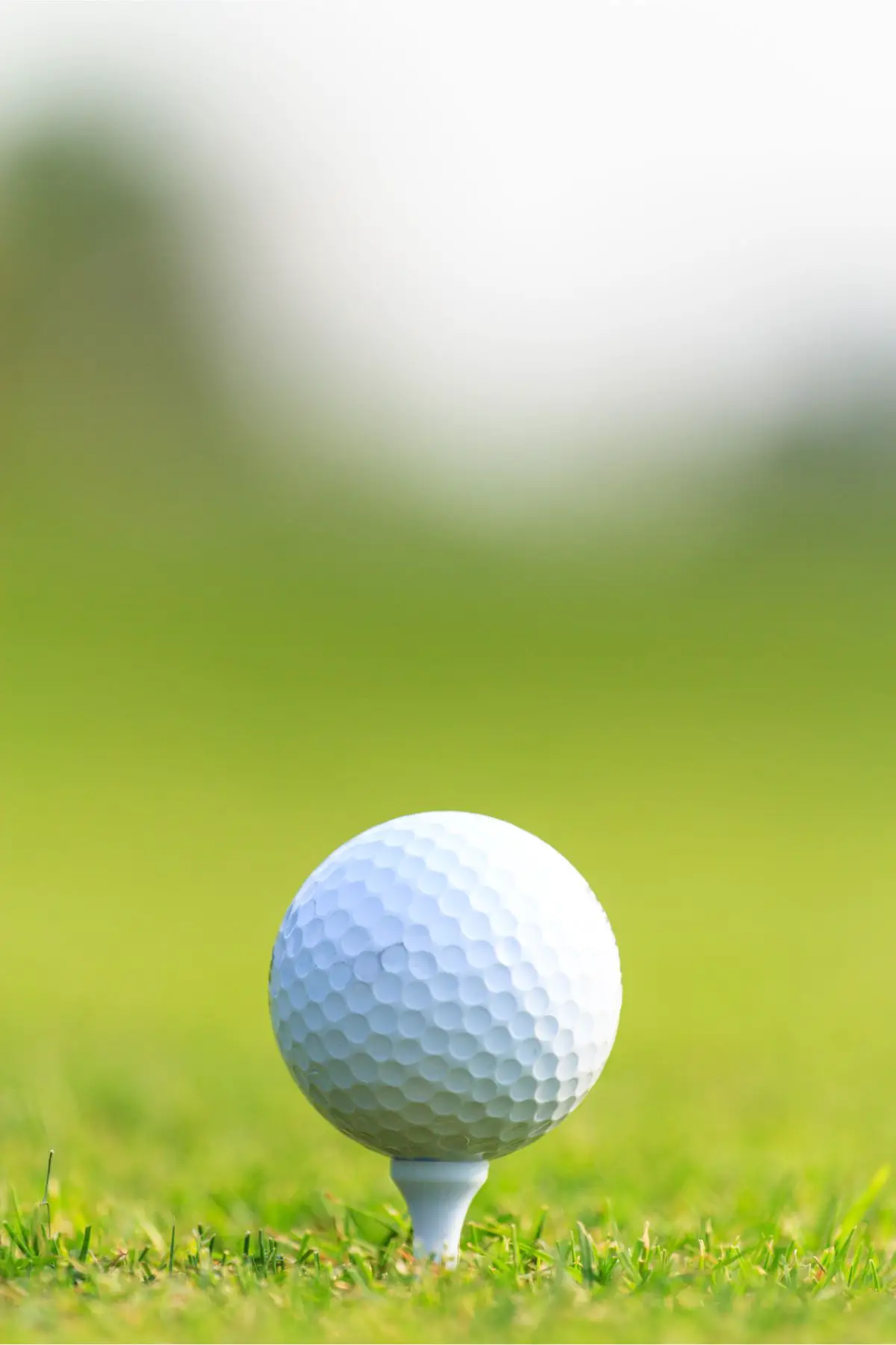 A closeup of a white golf ball on a white tee.