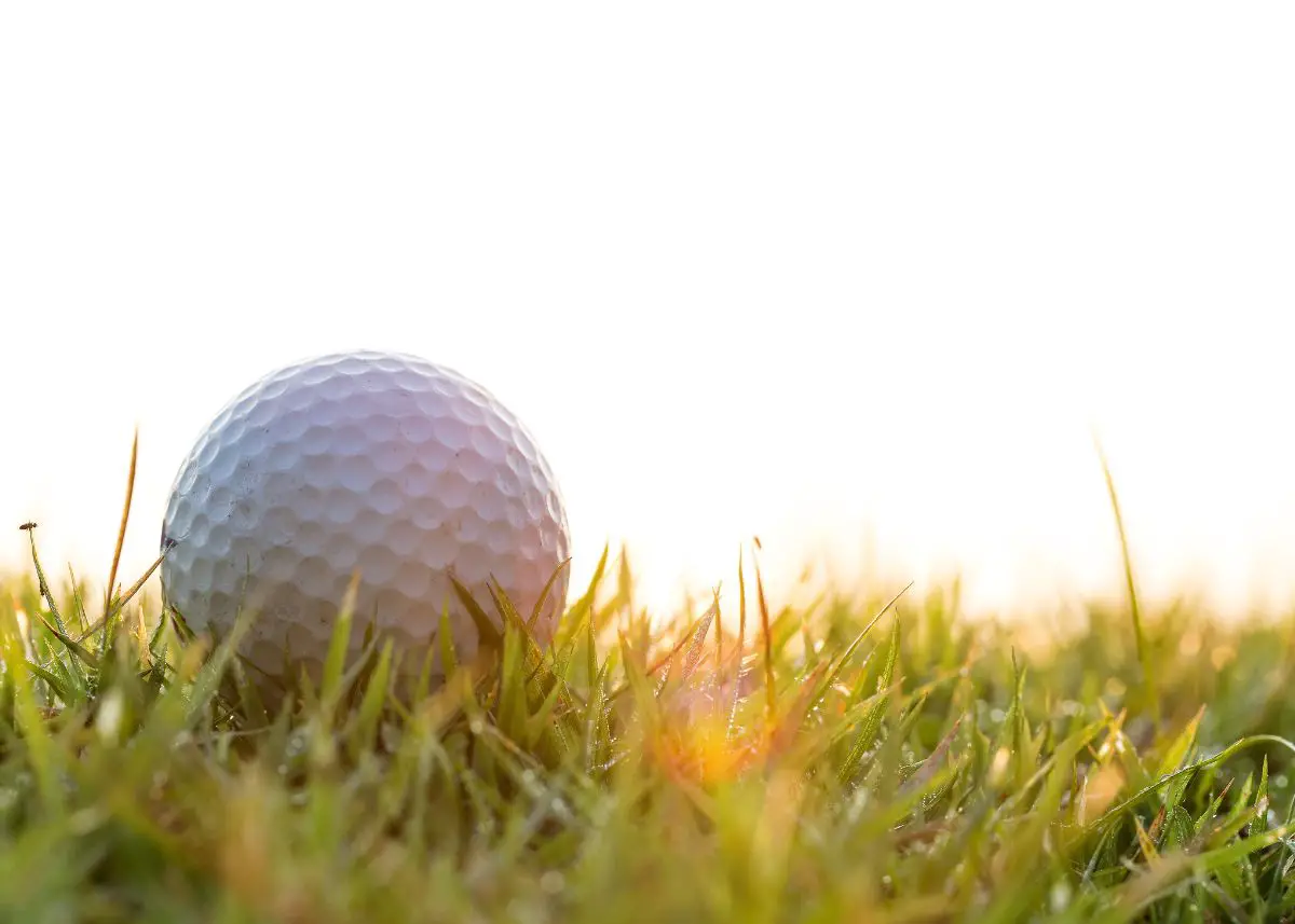 A closeup of a white golf ball on the green.  