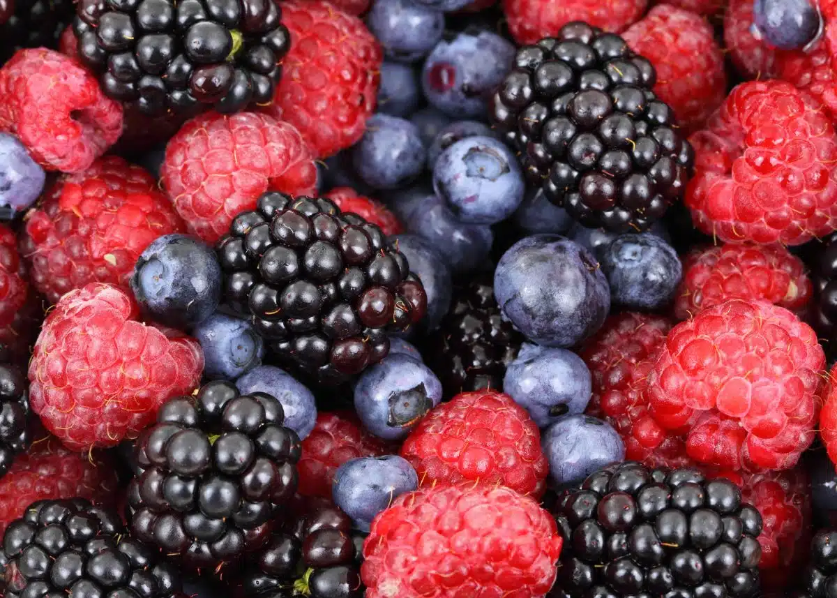 A closeup shot of raspberries, blueberries, and blackberries.