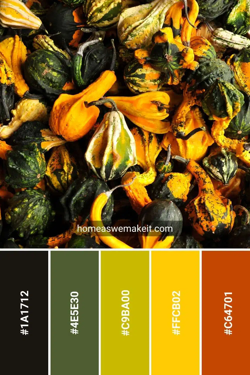 autumn gourds colors with hex code