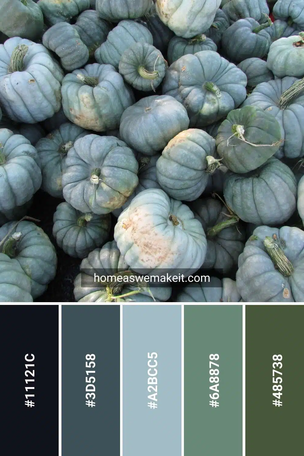 blue green pumpkin