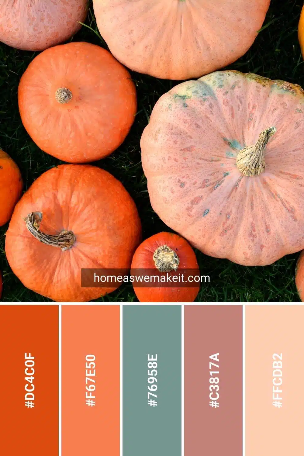 Light Autumn Color Scheme