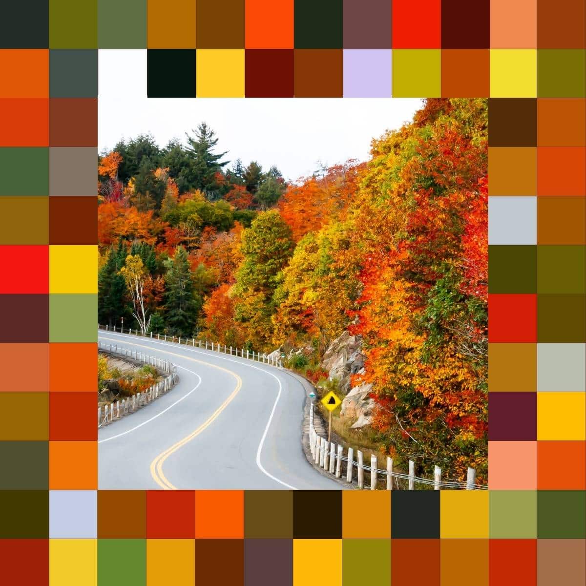 50 Fall Color Palettes: Beautiful Autumn Color Schemes