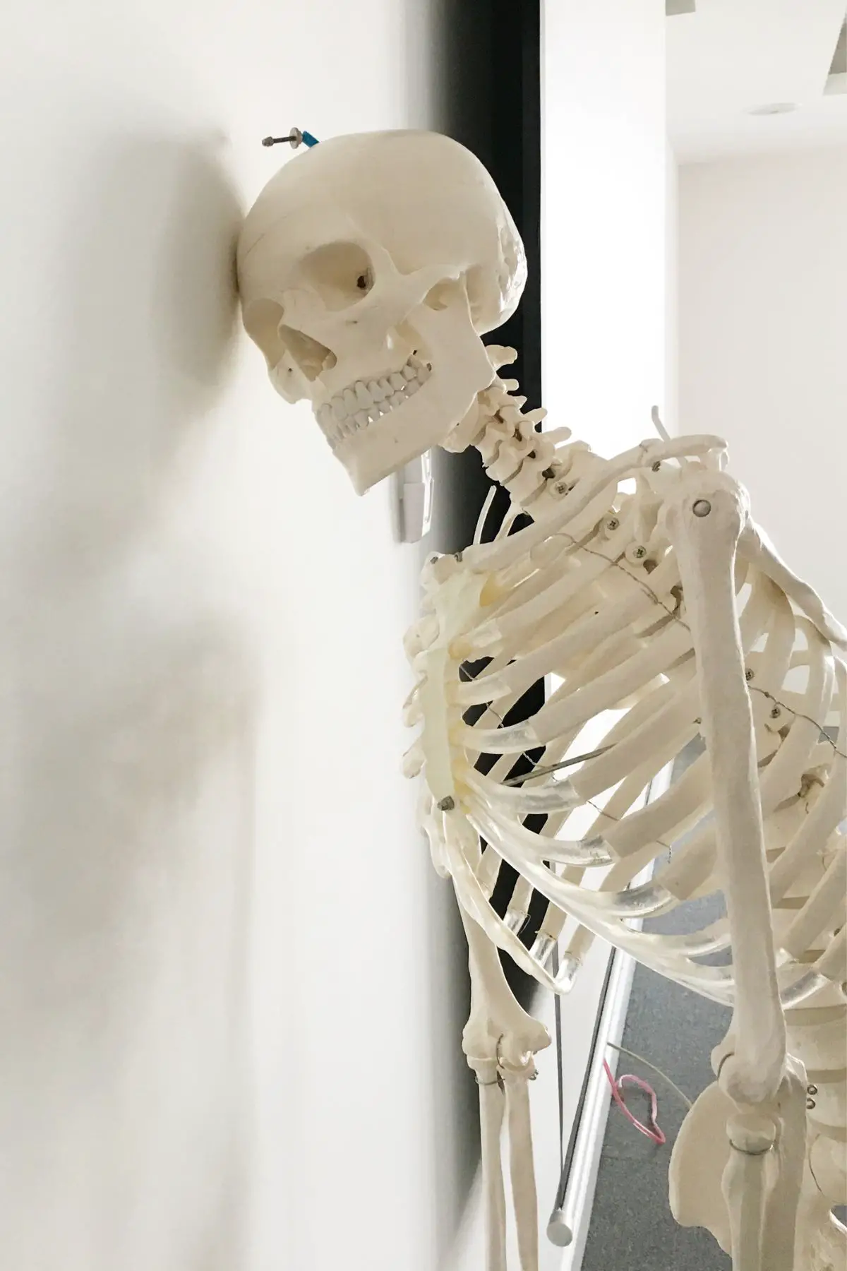 A skeleton is leaning his head against a white wall.