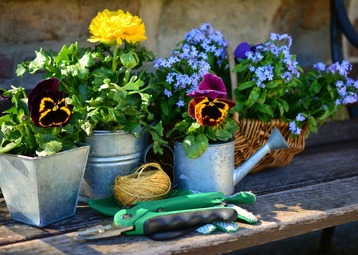 This is a picture of three silver pots holding flowers.  One is a watering can.  There is also a basket holding flowers.  They are all outside on a deck.
