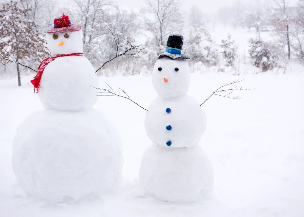 This is a photo of two snowmen.  One is wearing a red hat and scarf. One is  wearing a black hat with a blue ribbon and blue buttons.  