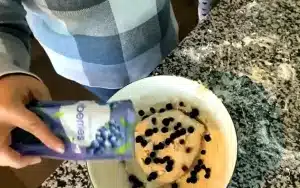 Bojangles Boberry Biscuit Recipe