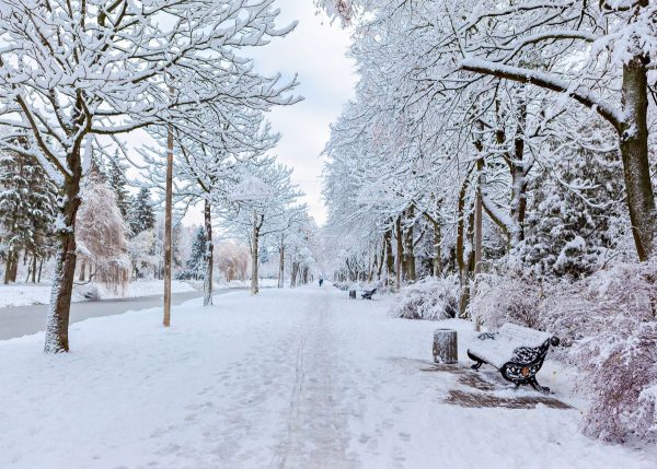 This is a beautiful picture of a sidewalk and street covered in snow.  
