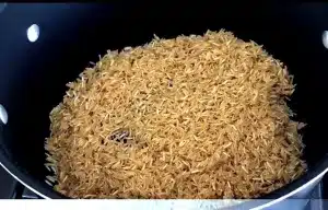 Qdoba Brown Rice Recipe