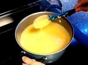 Casa Ole Queso Recipe