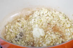 Add Onion and Garlic