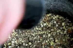 Grind the whole peppercorns