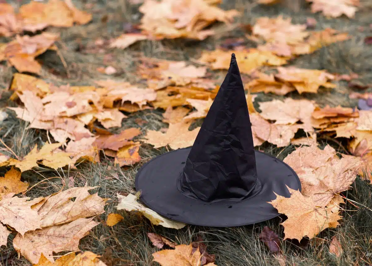 This is a photo of a witch's hat outside on the grass surrounded by orange leaves.