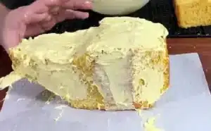 Bluey Duck Cake Recipe
