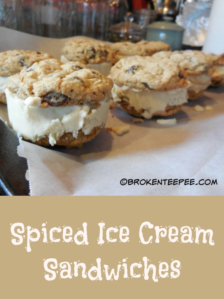 Spiced Ice Cream Sandwiches