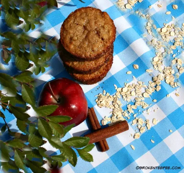 Muffin Recipe – Apple Oatmeal Muffins