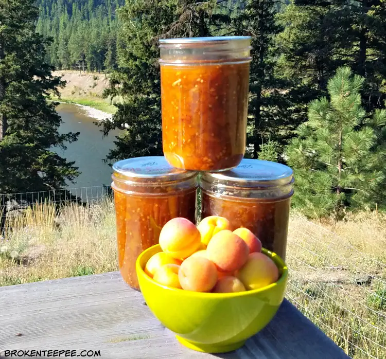 Apricot Recipe: Apricot Sauce – A New Favorite for When the Apricots are in Season
