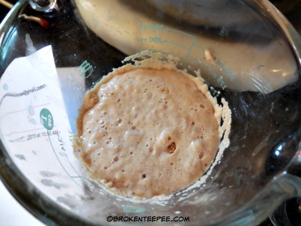 mix yeast with water and sugar