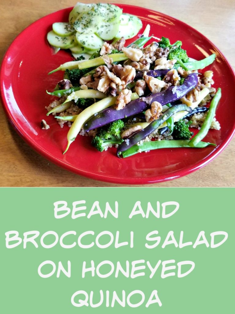 Green Bean Salad, fresh from the garden cooking