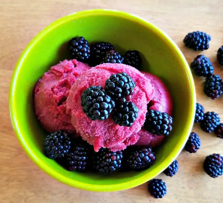 Blackberry Sorbet