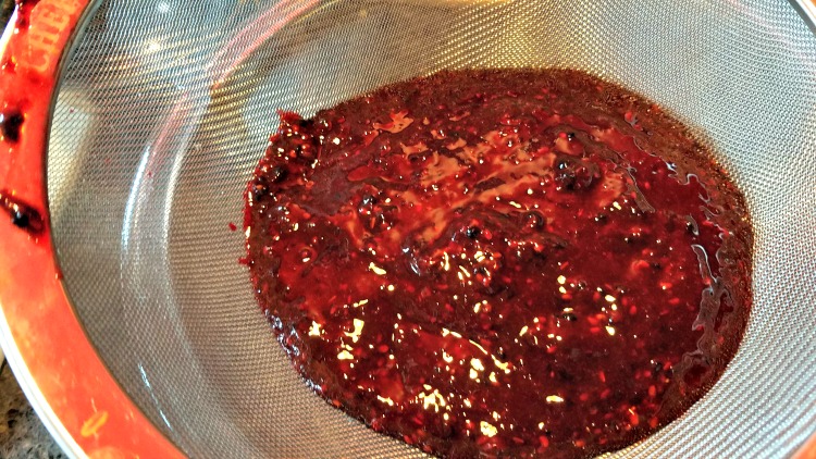 Blackberry Sorbet