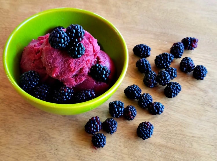 Blackberry Sorbet